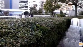 哥哥我想要特选精彩直播六月十号